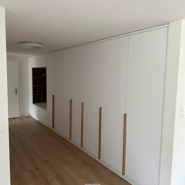 Hallway Closset project 5